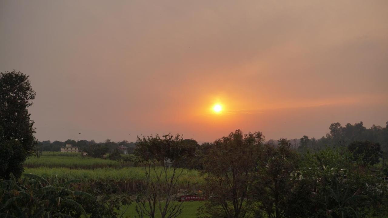 Sun N Soil Backpacker Hostel Lachhiwala Bagian luar foto