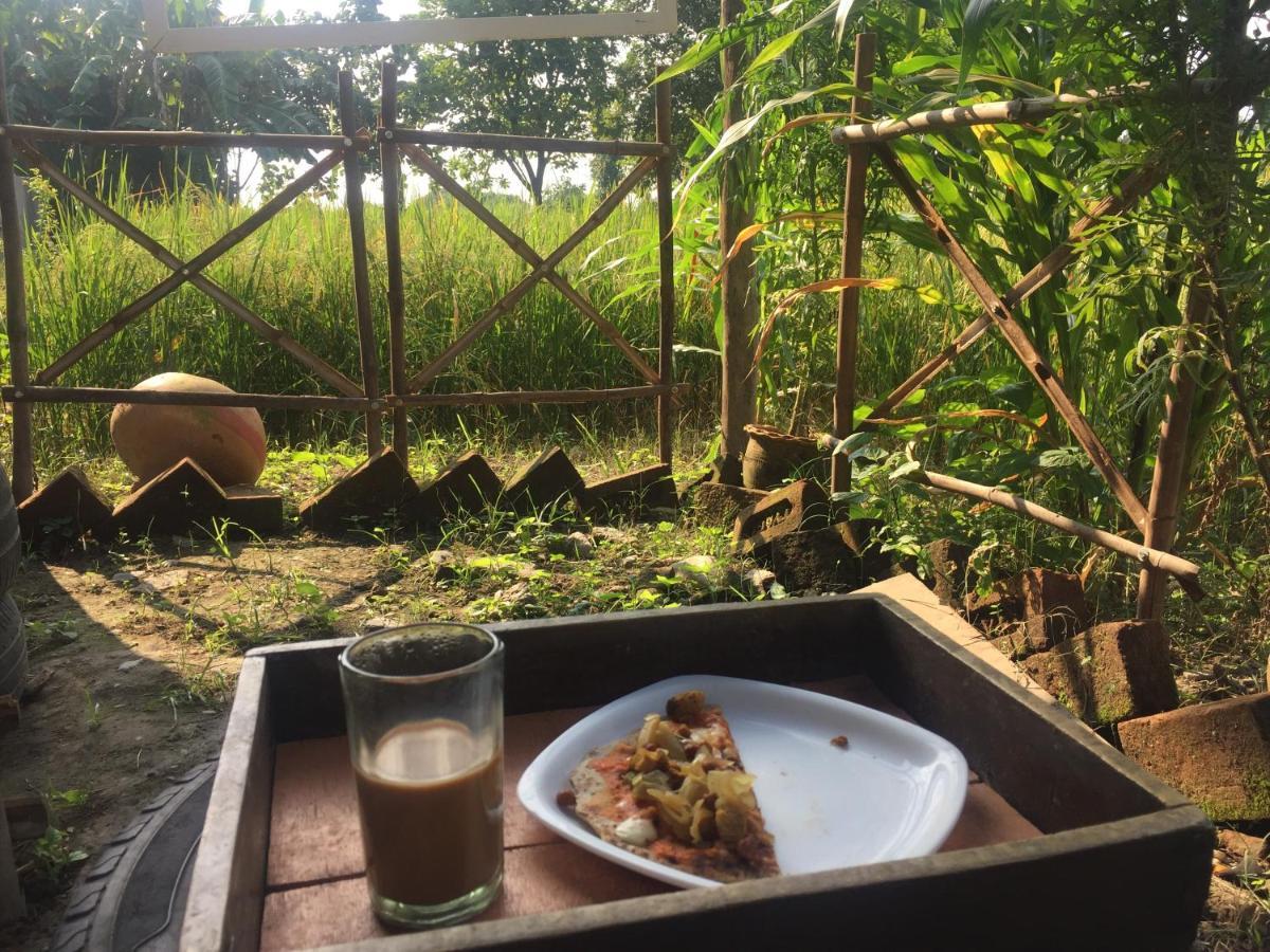 Sun N Soil Backpacker Hostel Lachhiwala Bagian luar foto