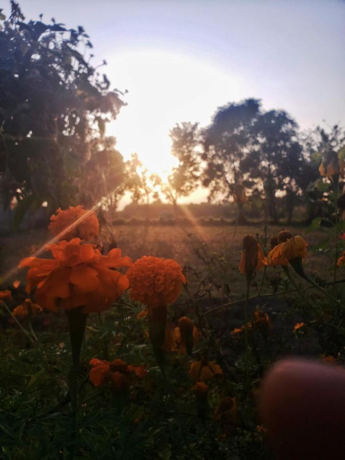 Sun N Soil Backpacker Hostel Lachhiwala Bagian luar foto
