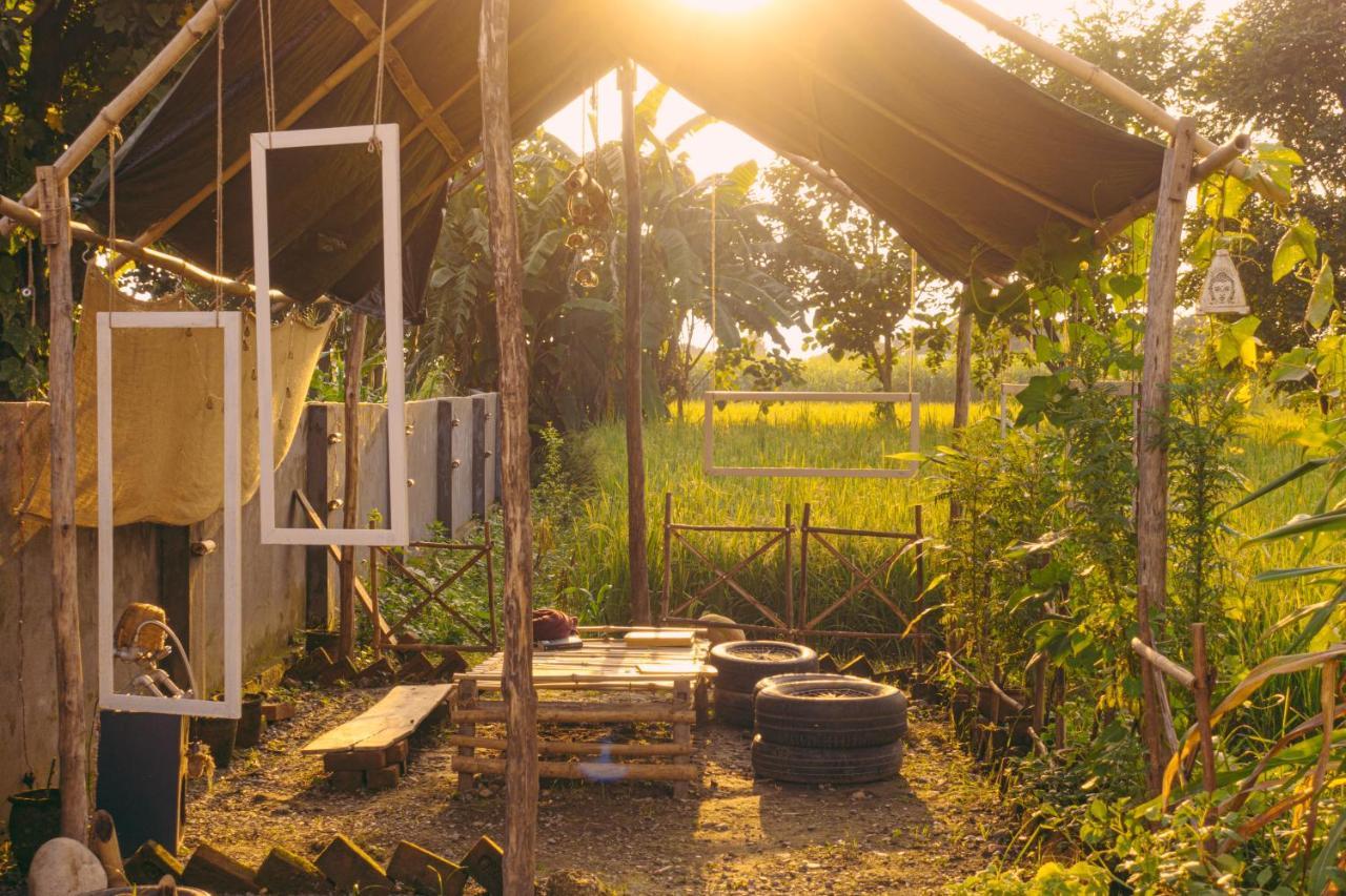 Sun N Soil Backpacker Hostel Lachhiwala Bagian luar foto