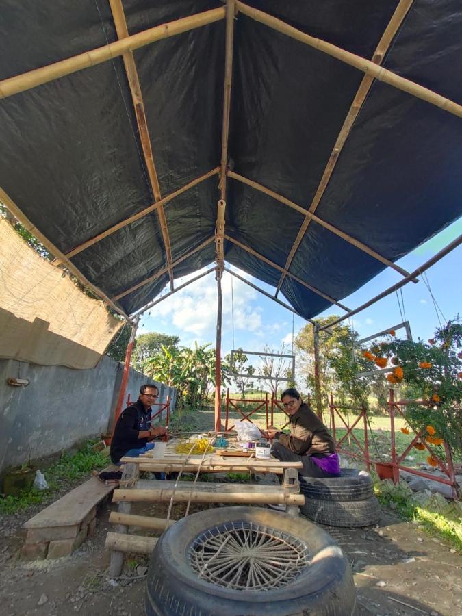 Sun N Soil Backpacker Hostel Lachhiwala Bagian luar foto